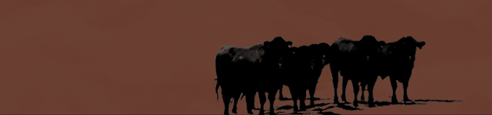 San Juan Ranch Header