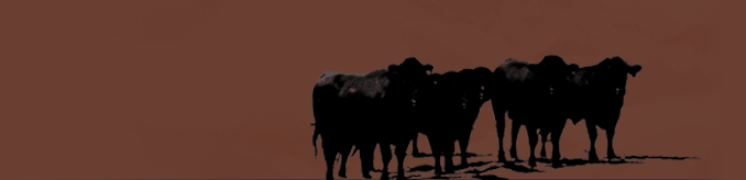 San Juan Ranch Header