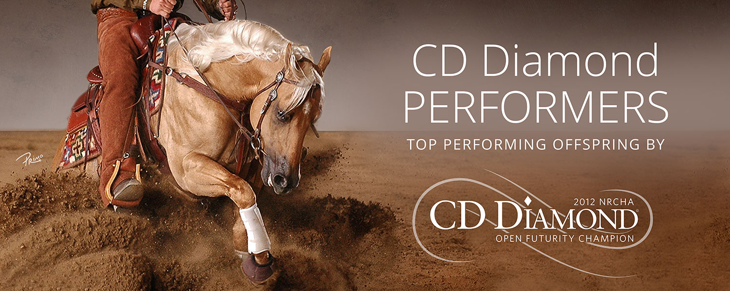 CD Diamond Performers image