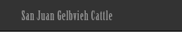 San Juan Gelbviehs Navi