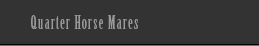Quarter Horse Mares