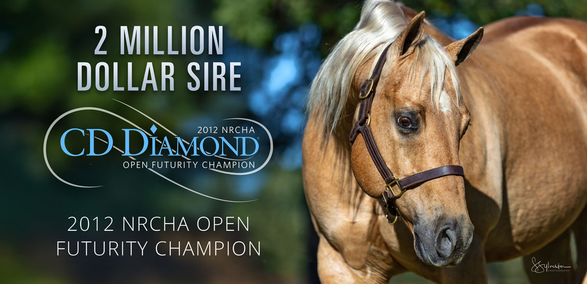 CD Diamond Header Image