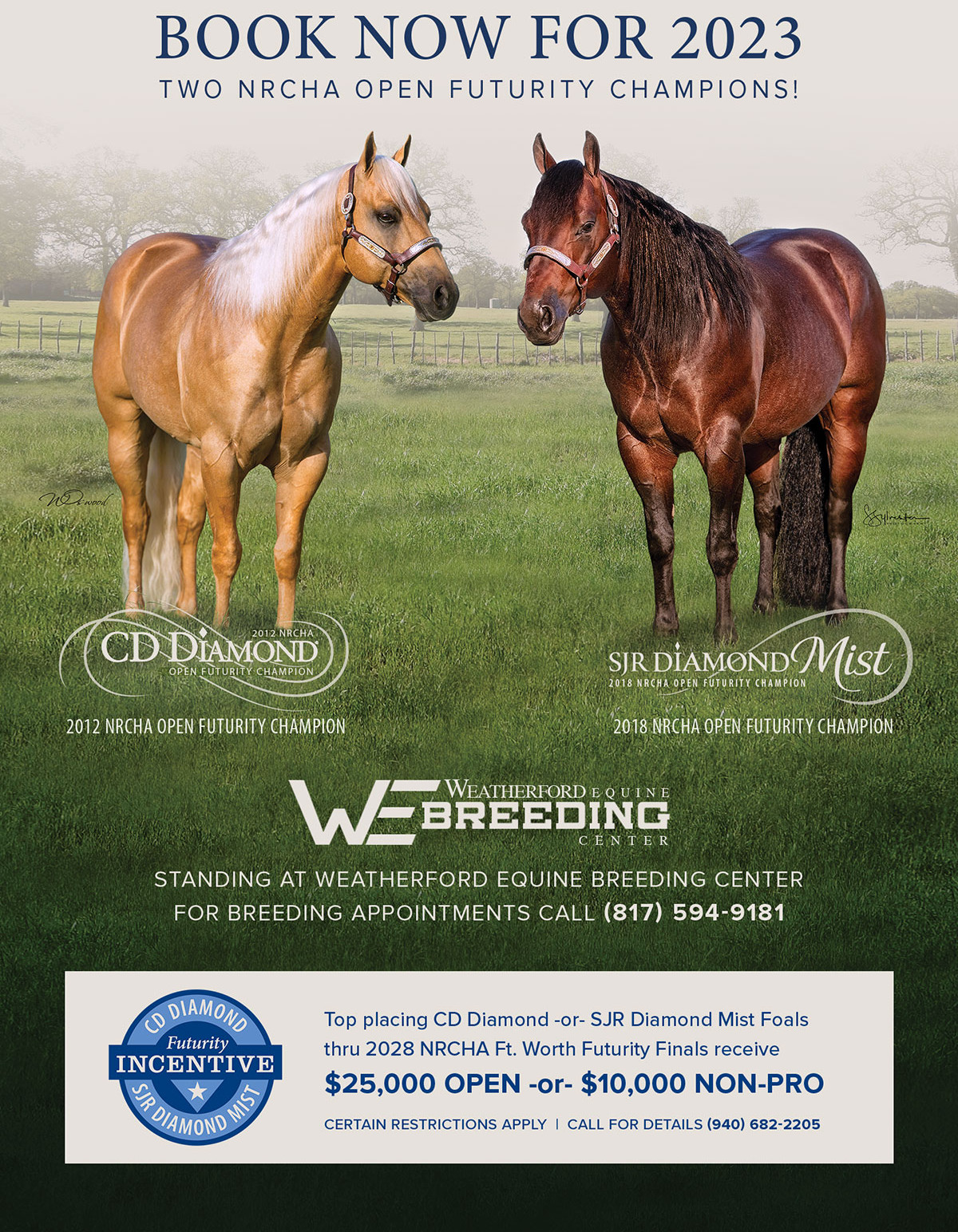 San Juan Ranch Performance Quarter Horses