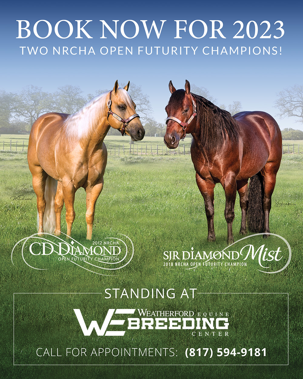 San Juan Ranch Performance Quarter Horses