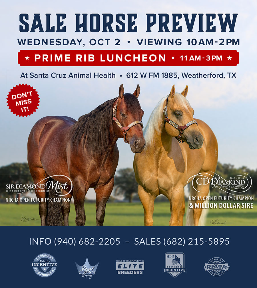 San Juan Ranch Performance Quarter Horses