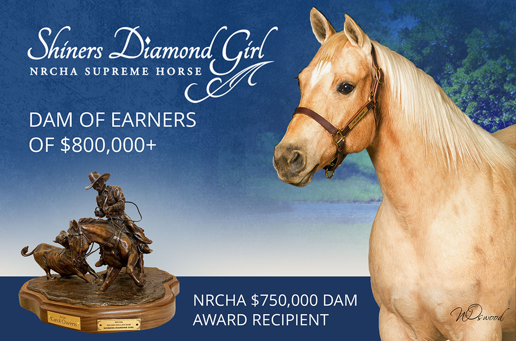 Shiners Diamond Girl Hero Image